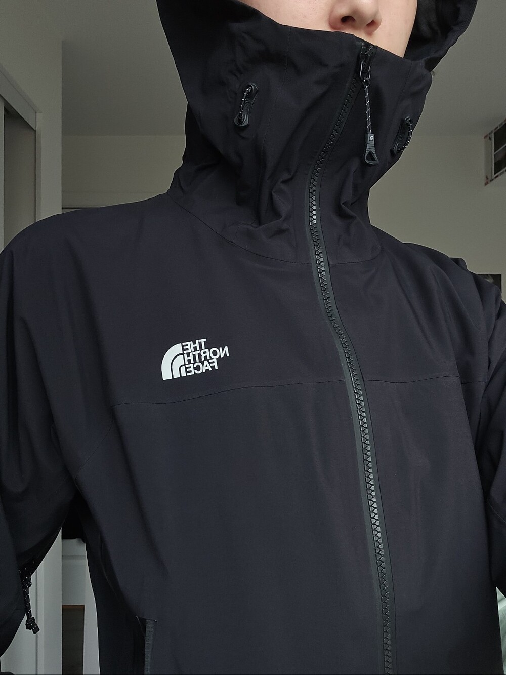 The North Face black Gore-Tex Pro jacket